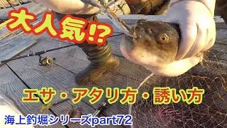 釣ガチ海上釣堀シリーズpart 72 【トラフグコース】攻略!!エサとアタリ方と誘い方と。