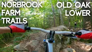 Norbrook Farm Brewery Mountain Biking: Old Oak Lower [4K]