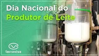 Dia do Produtor de Leite: 