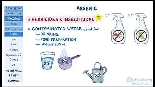 Environmental & Chemical Toxicity Osmosis