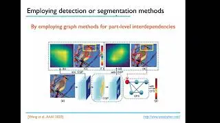Fine-Grained Image Recognition (1)
