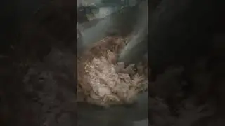 Making Peanut oil  Translate வேர்க்கடலை🥜🥜 என்னை தயாரித்தல்