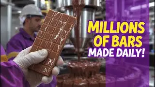 How Milk Chocolate Is Made in Factory | Dairy Milk Process Ai | Factory Tour Dairy Milk Is Produced?
