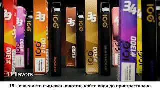 ICE 1300