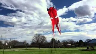 Flying Squid Kite from China