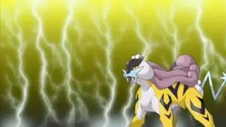 Raikou Tribute