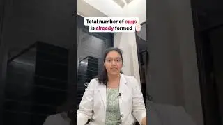 Do ovaries produce eggs every month?