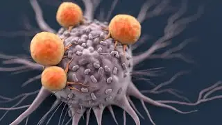 Make Your Body Destroy Every Disease Naturally Do This Daily!