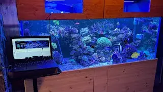 Itc Parwise on the 350 gallon Display