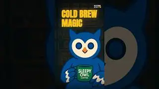 Sleepy Owl Cold Brew: The Coffee Game Changer