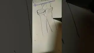 альбом по анатомии #art #sketch #drawing #anatomy