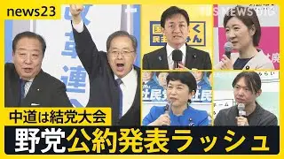 中道は結党大会『自分ファースト』対『生活者ファースト』 野党公約発表ラッシュの一方で…ネットに広がる“偽情報”各党はどう対応する？【news23】｜TBS NEWS DIG