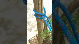 Great Tip Of Tying Clove Hitch. #clovehitch #knots #shorts
