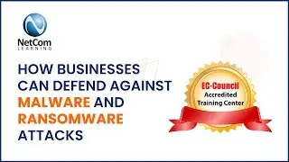 How Businesses Can Defend Against Malware and Ransomware Attacks | NetCom Learning