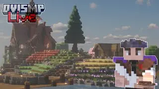 Java & Bedrock SMP with Viewers.