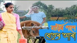 বাড়িৰ পাশে বেতেৰ আড়া//Barir pase beter ara goalpariya song//@village comedy
