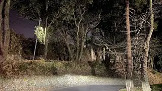 【夜のドライブ】2026年1月16日(金)