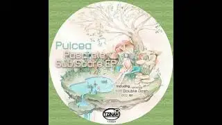 Puicea - Briz (Double Dash Remix) // TZH027