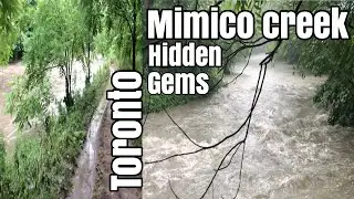 Hidden gems, Toronto. Hiking, Running, Bicycling, Walking, Birdwatching and Nature.