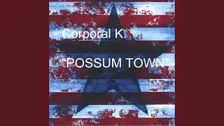 Possum Town I