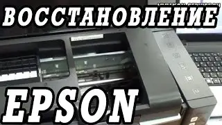 Что делать, если не печатает принтер  Epson L800. Щадящее восстановление за 4 дня.