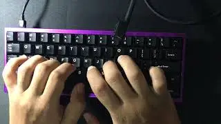 Singa x tgr unikorn / mx brown