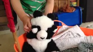 Pandie can't reach the bamboo and he is hungry...
