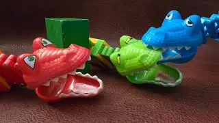 The ultimate fight of the crocodiles. They are crazy, hungry, strong and having fun. #crocodile  $# 
