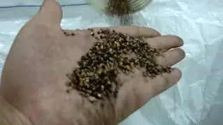 Grain grading machine seed grading cleaner