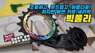 가장 조용하고 부드러운 빅풀리. 너무 이쁜 드레스 업!! 엡솔루트 블랙 할로우 케이지