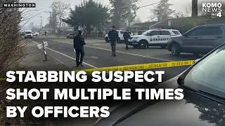 Suspect killed by officers allegedly stabbed man and pet dog after learning victim was Christian
