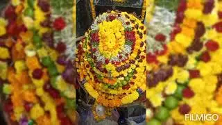 శ్రీ నీలంపాటి శ్రీ లక్ష్మి దొండపాడు వినుకొండ మండలం