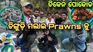 Chandipur Vlog 🏖️ | Friends, Fun & Fresh ଚିଙ୍ଗୁଡ଼ି ମଲାଇ || ଚିକେନ Pokoda 🍗@Op_Badminton #balasore #yt