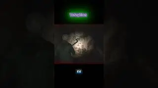 !!ESPERA, QUE?!! 🤨