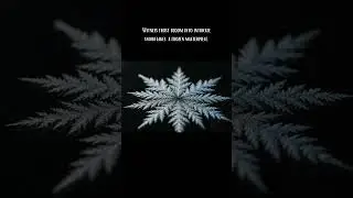 Symmetrical Frost Formation in Ultra Slow Motion | ASMR Visual Bliss ❄✨