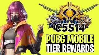 🔴 PUBG MOBILE C5S14 TIER REWARDS | DIAMOND TIER GUN SKIN | GOLD TIER OUTFIT | MR MARIO PLAYS