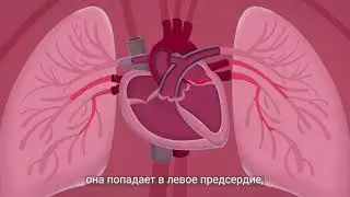Heart faliure | Hebrew | Showreel