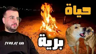 Дикая природа с собаками...🦮 Костер, готовка, приключения в горах🔥