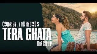 Tera Ghata || boom diggy diggy boom || tareefan || cover mashup || Full video || indiegods