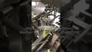 LTC8-200 Automatic facial mask serum liquid filling packing machine