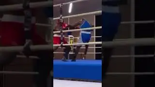 Самый безумный нокаут в истории
