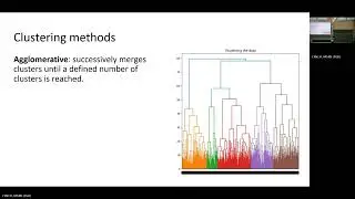 Vectorization and clustering of natural language chief complaints for syndromic surveillance