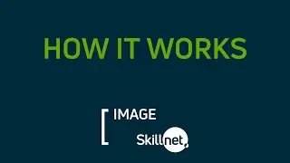 Who are Image Skillnet?