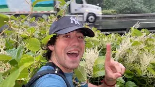 CRAZY FISHING SPOT Off Highway - WWYD just to Catch a Fish?