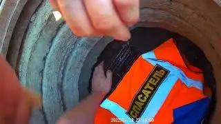 Rescuing a kitten from a trap in the Peter and Paul Fortress