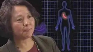 Women Are Researchers