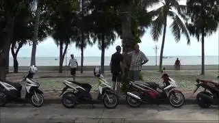 The Moppers trip to Dolphin Bay  2016 - 09 - 14