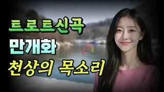 ✨만개화 - 미연🎶트로트신곡ㅣ 감성트로트 ㅣ #트로트 #ktrot #감성트로트 #playlist #kpop #국악트로트 #인기트로트 #사극트로트 #트롯요정