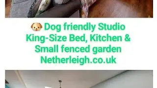 www.netherleigh.co.uk - Our Dog friendly detached Studio in Devon has some big discounts