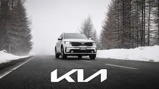 BEAR SURFBOARDS | KIA